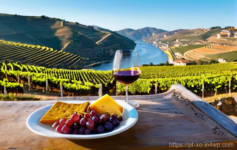 전통주 브랜드의 경험 마케팅 사례 - **Immersive Douro Valley Port Wine Experience:**
    A vibrant, sun-drenched scene at a traditional ...